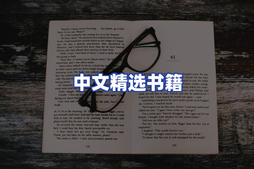 中文精选书籍